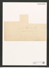 Diatomeae indet. Zeichnungen Sammlung Grunow (NHMW-BOT-W0368429)